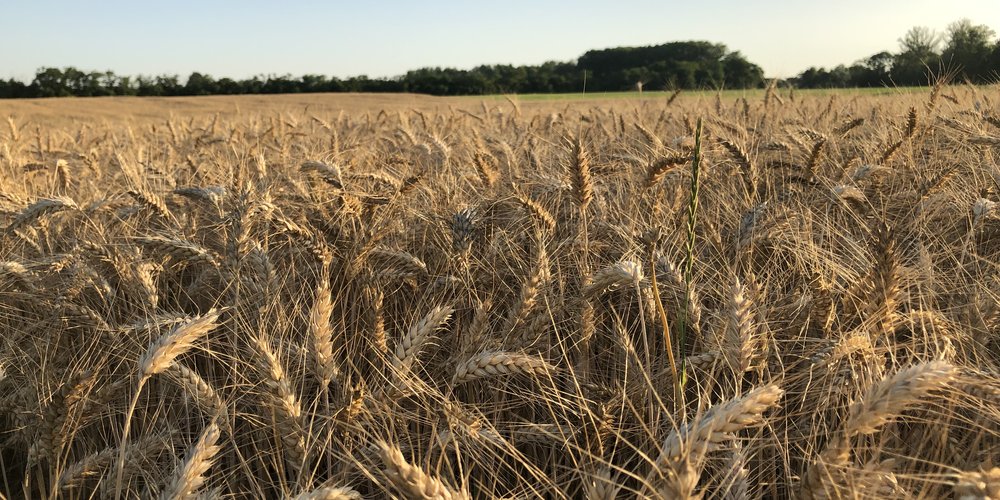 trans4num kick-off meeting