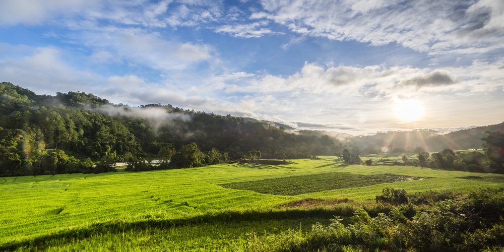 Chinese consortium approved